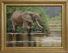 abbott ambling through the lekota river.jpg (356749 bytes)