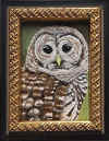 abbott portrait of a barred owl.jpg (125157 bytes)