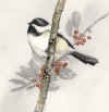 adair chickadee and holly uf.jpg (82954 bytes)