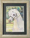 allen show pony.jpg (97295 bytes)