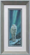 antoine arctic night fr.jpg (135017 bytes)