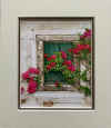 argyros green shutters and bougainvillea sm.jpg (258808 bytes)