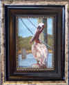 beckford ocracoke pelican.jpg (412508 bytes)