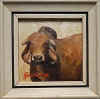 cook gyr bull.jpg (151872 bytes)