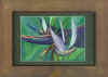 councell bird of paradise.jpg (324821 bytes)