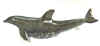 crawford dolphin swim.jpeg (92066 bytes)
