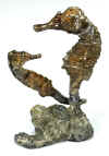 crawford seahorses.jpeg (165484 bytes)