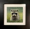 dey curious raccoon sm.jpg (227677 bytes)