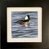 dey hooded merganser sm.jpg (235713 bytes)