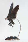 eaton osprey and salmon.jpg (129732 bytes)