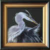 elgin heron grooming.jpg (273942 bytes)
