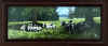 elgin summer cows napping.jpg (231005 bytes)