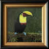 elgin toucan in the rain.jpg (278677 bytes)
