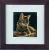 fotheringham content cat.jpg (342952 bytes)