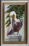 hahn pelican on post sm.jpg (321093 bytes)