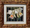 haynes wild orchids sm.jpg (349350 bytes)
