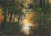 hendershot through the woods 2 sm.jpg (326499 bytes)