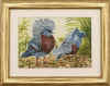 hopkinson victoria crowned pigeons.jpg (404065 bytes)