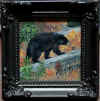 kirchner the easy route black bear.jpg (414673 bytes)