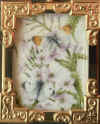 musker dance of the orange tips.jpg (245624 bytes)